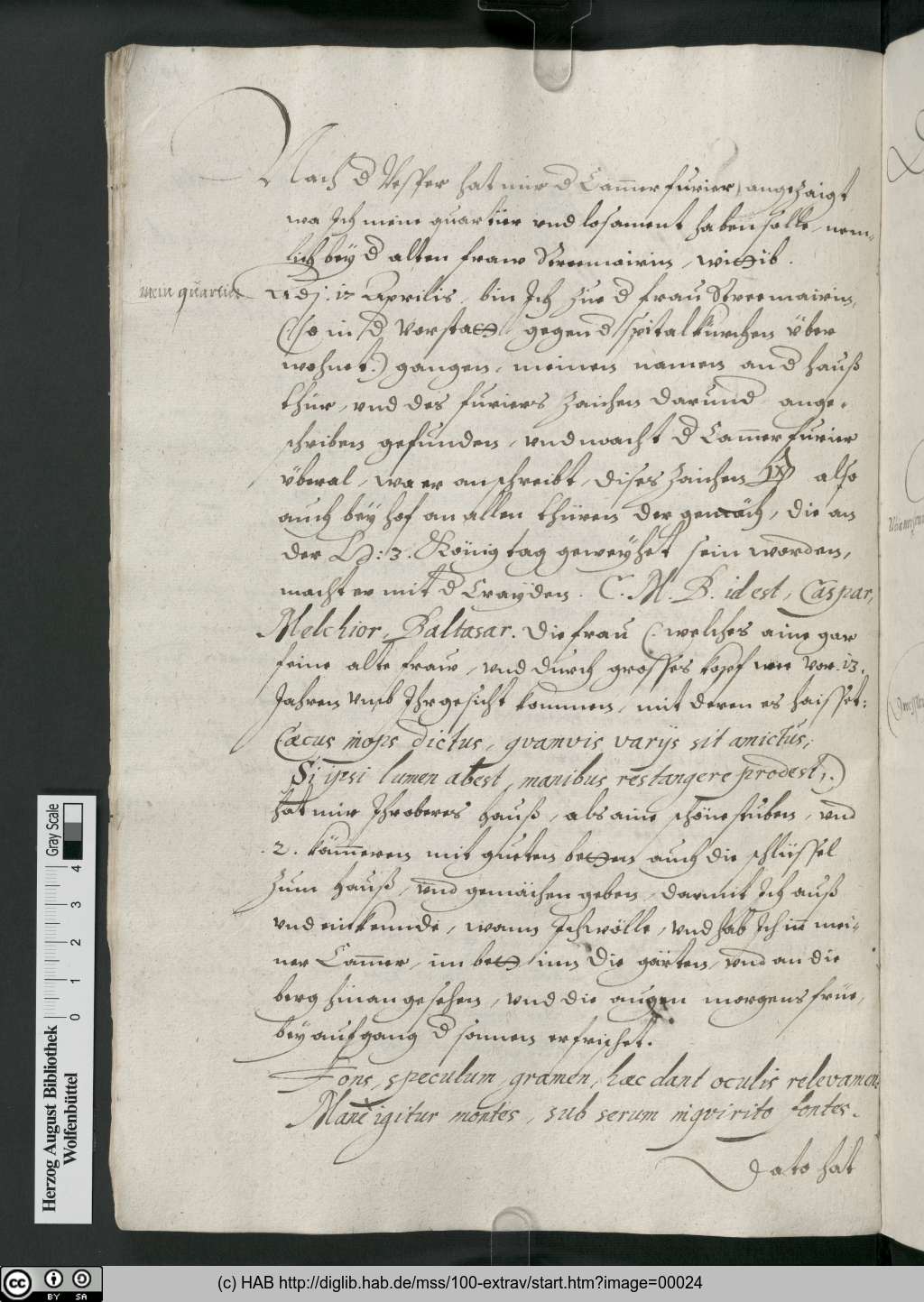 http://diglib.hab.de/mss/100-extrav/00024.jpg