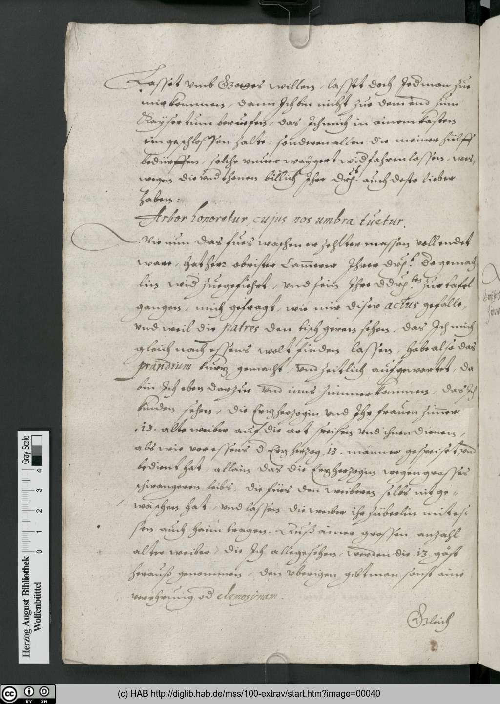 http://diglib.hab.de/mss/100-extrav/00040.jpg
