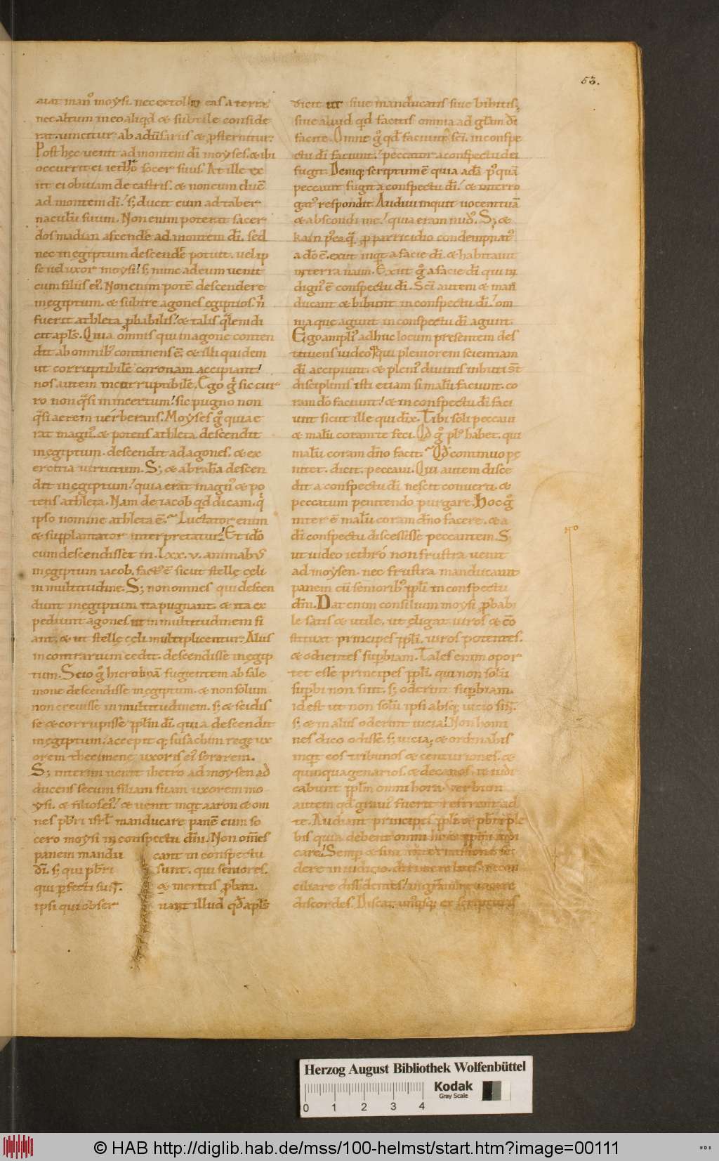 http://diglib.hab.de/mss/100-helmst/00111.jpg