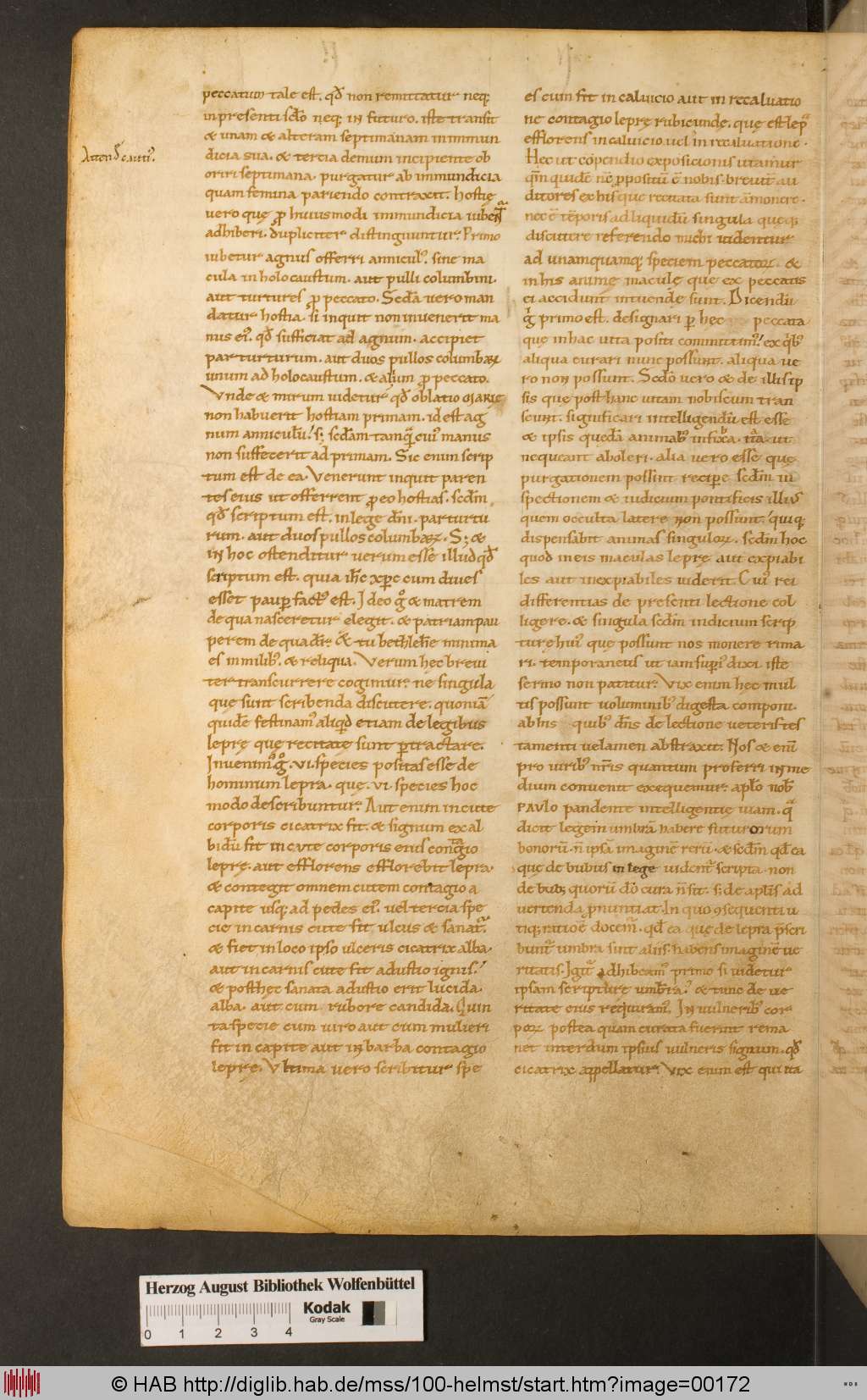 http://diglib.hab.de/mss/100-helmst/00172.jpg