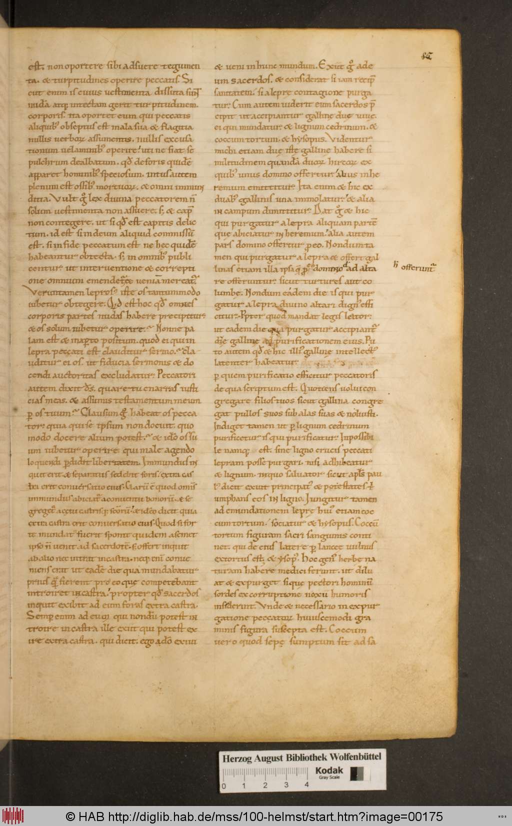 http://diglib.hab.de/mss/100-helmst/00175.jpg
