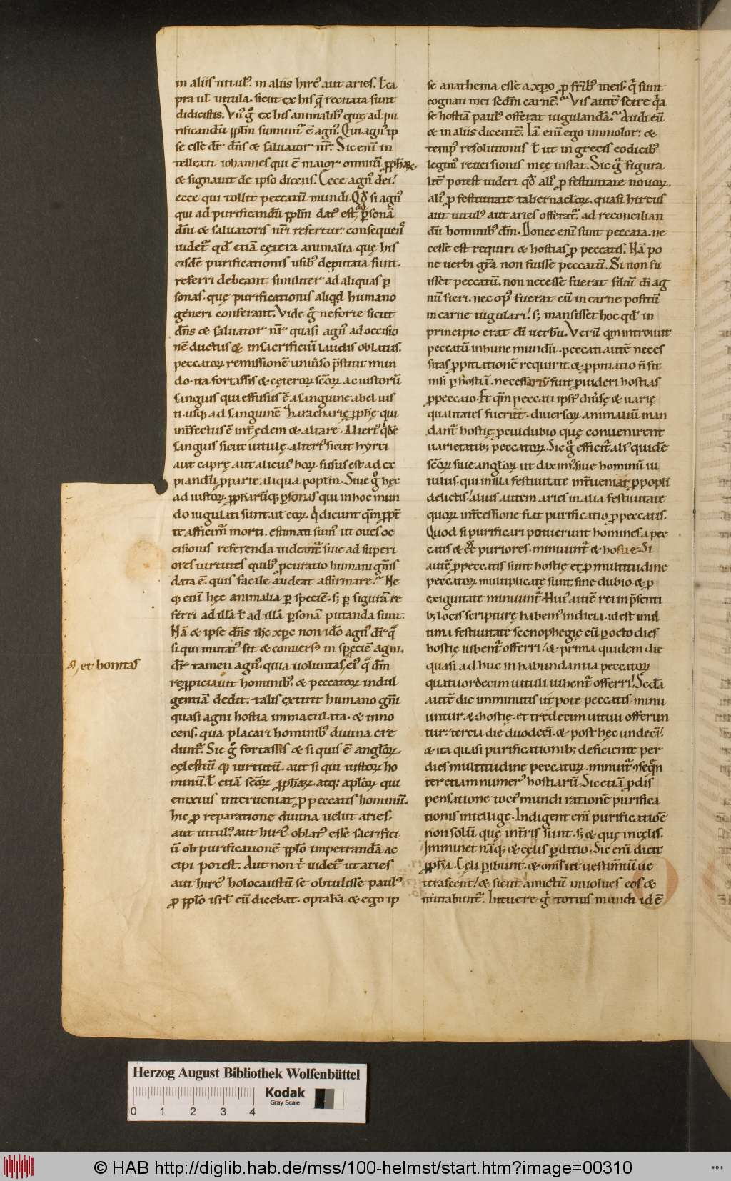 http://diglib.hab.de/mss/100-helmst/00310.jpg