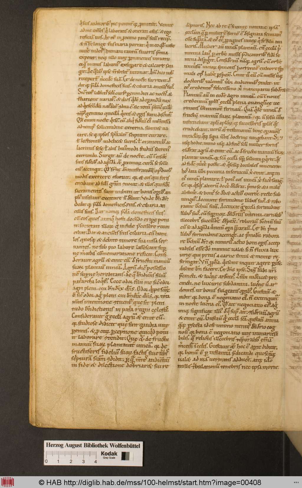 http://diglib.hab.de/mss/100-helmst/00408.jpg