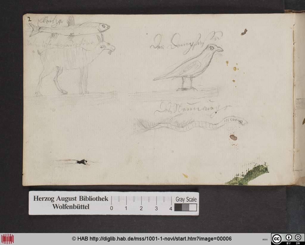 http://diglib.hab.de/mss/1001-1-novi/00006.jpg