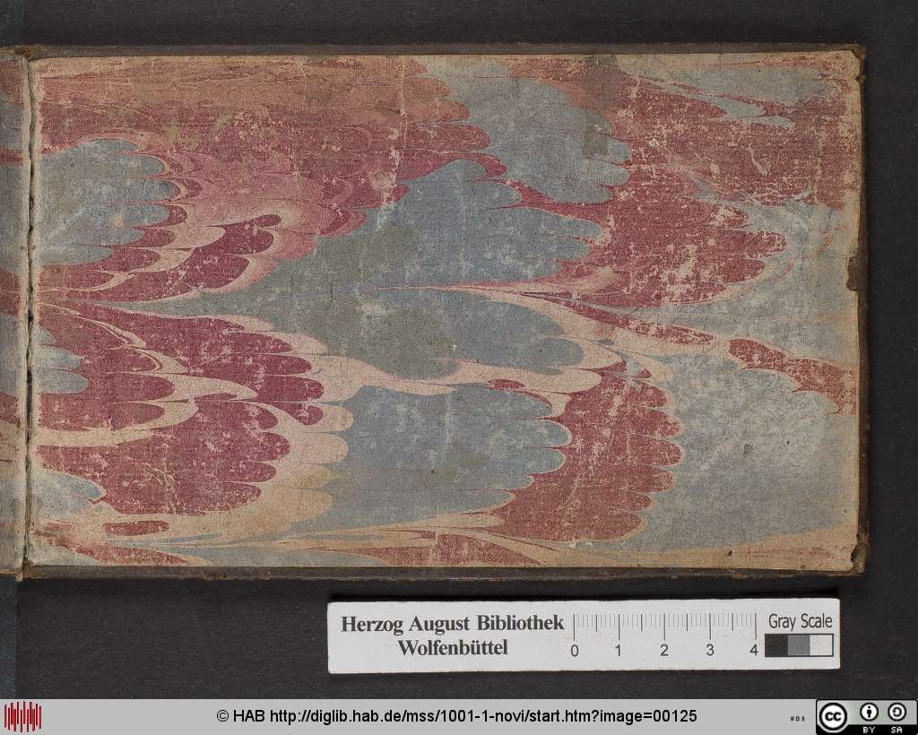 http://diglib.hab.de/mss/1001-1-novi/00125.jpg