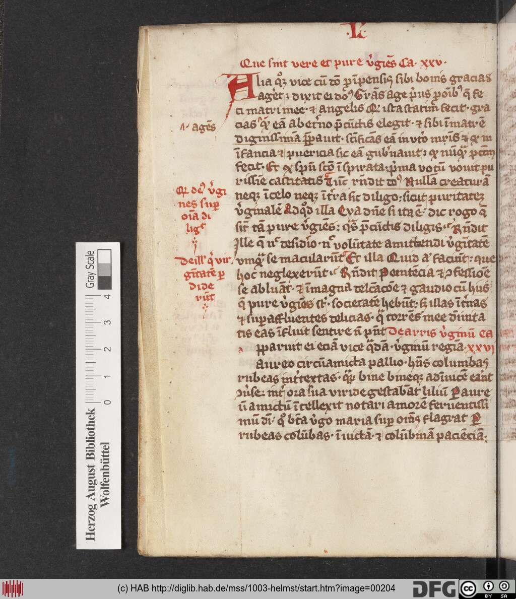 http://diglib.hab.de/mss/1003-helmst/00204.jpg