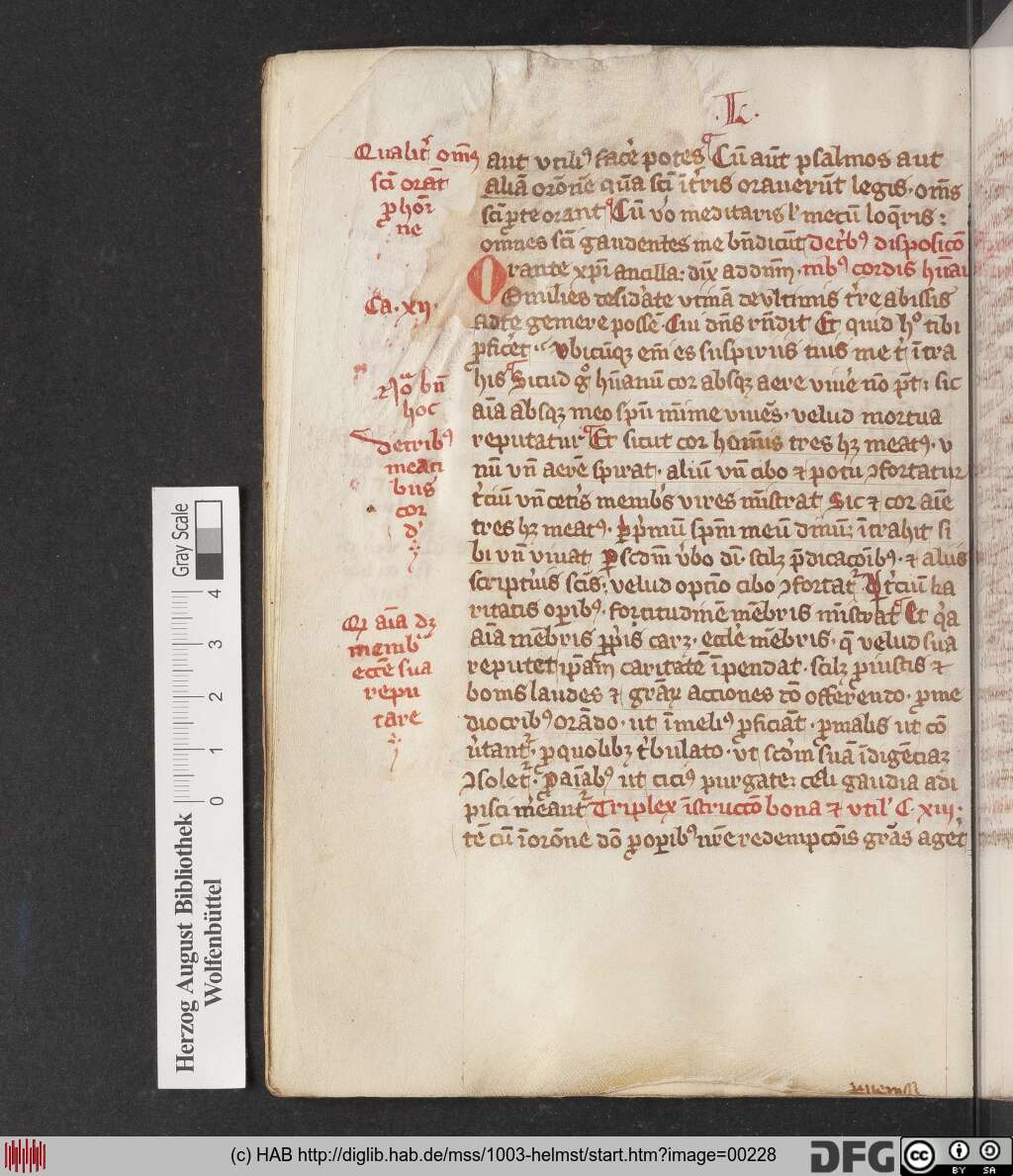 http://diglib.hab.de/mss/1003-helmst/00228.jpg