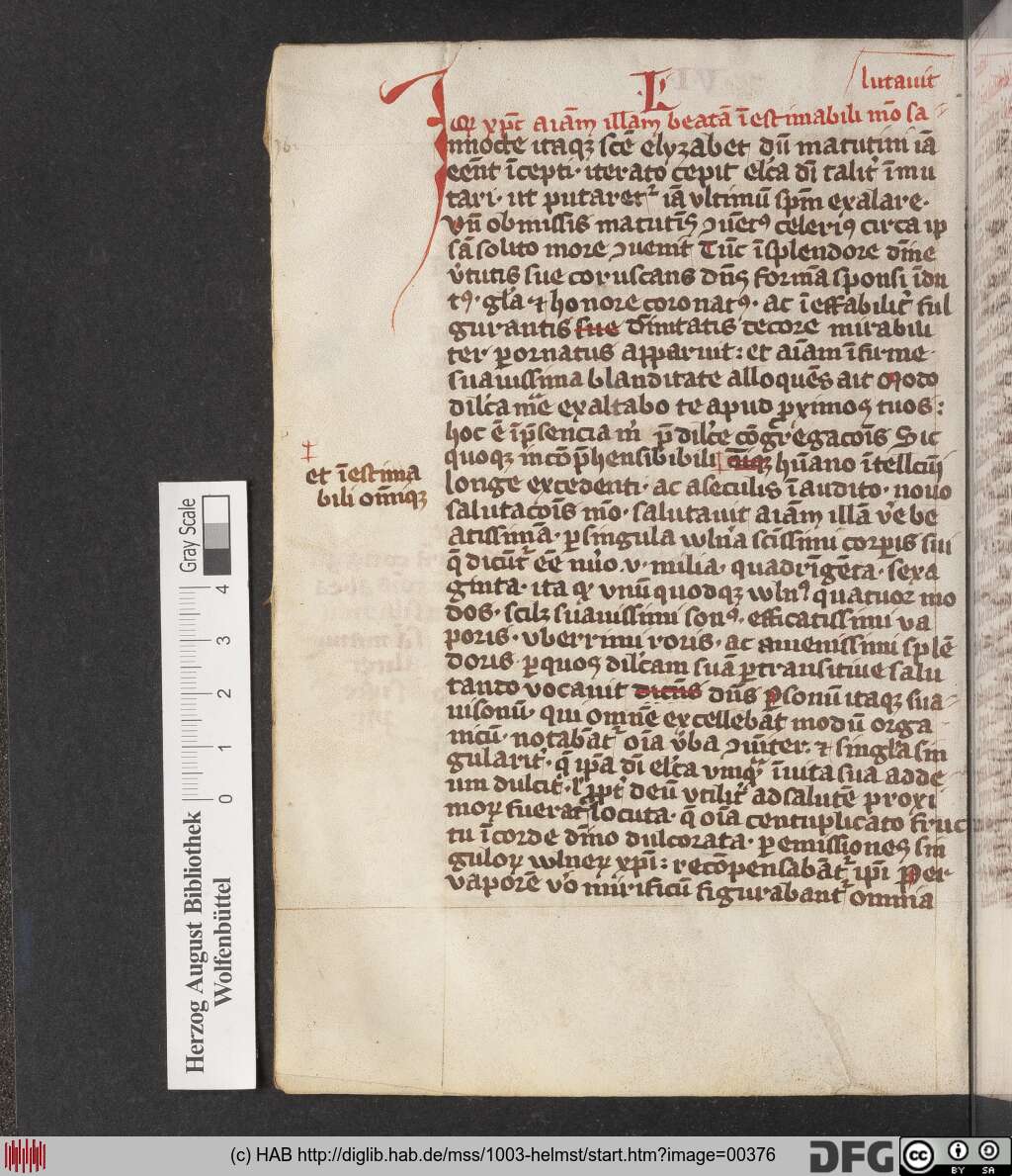 http://diglib.hab.de/mss/1003-helmst/00376.jpg