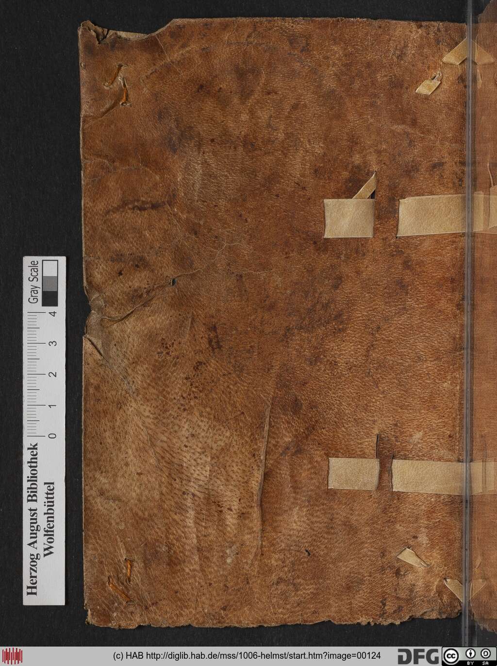 http://diglib.hab.de/mss/1006-helmst/00124.jpg