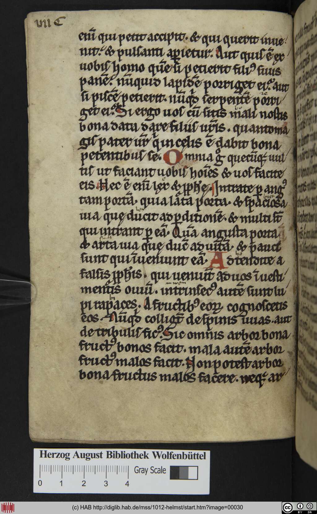 http://diglib.hab.de/mss/1012-helmst/00030.jpg