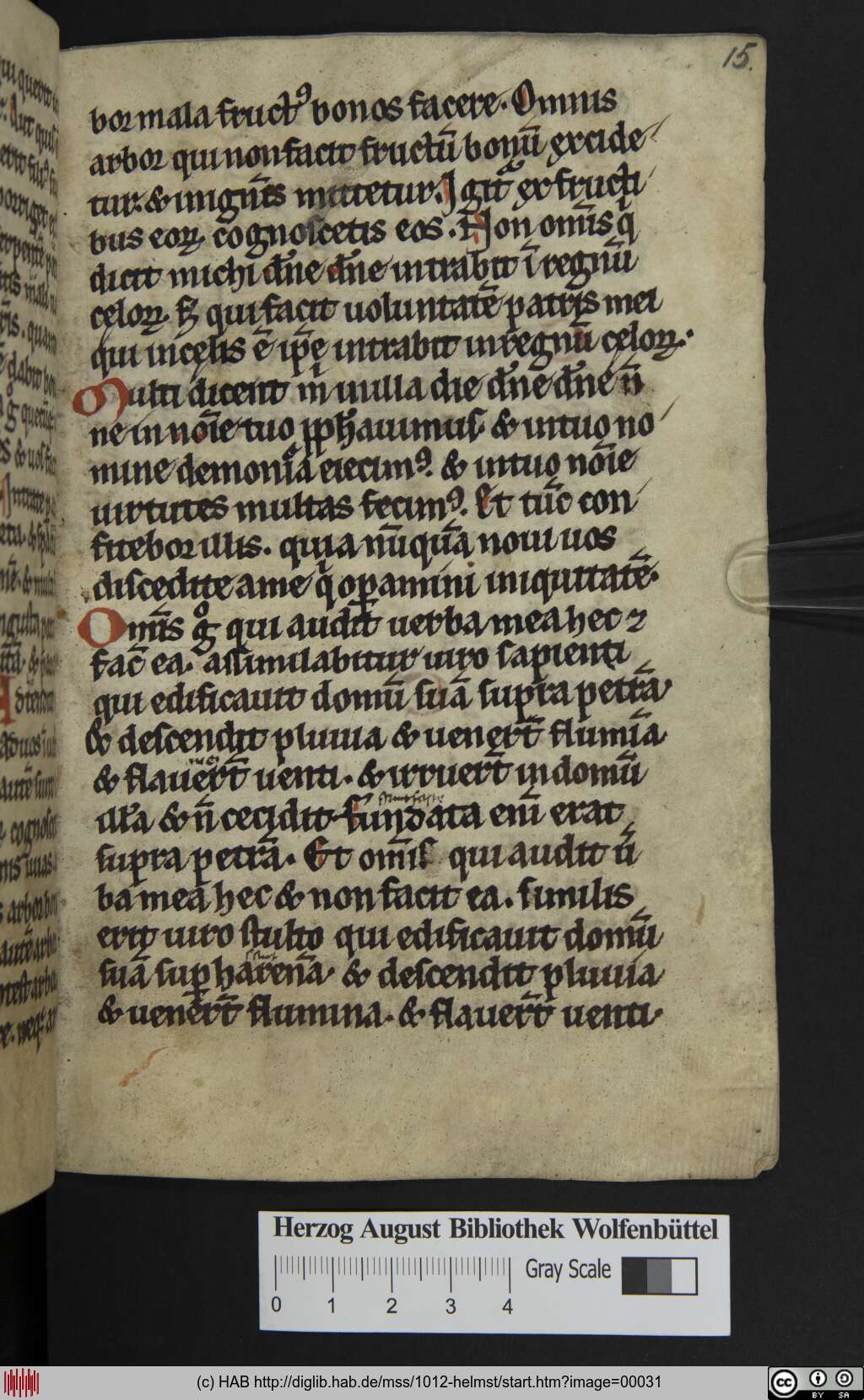 http://diglib.hab.de/mss/1012-helmst/00031.jpg