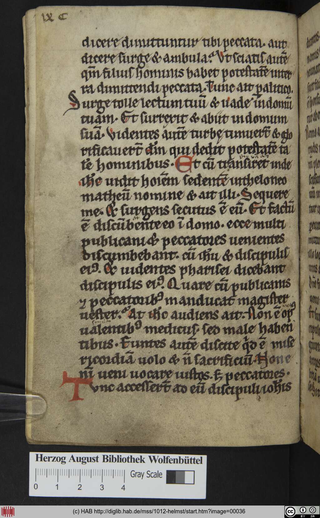 http://diglib.hab.de/mss/1012-helmst/00036.jpg