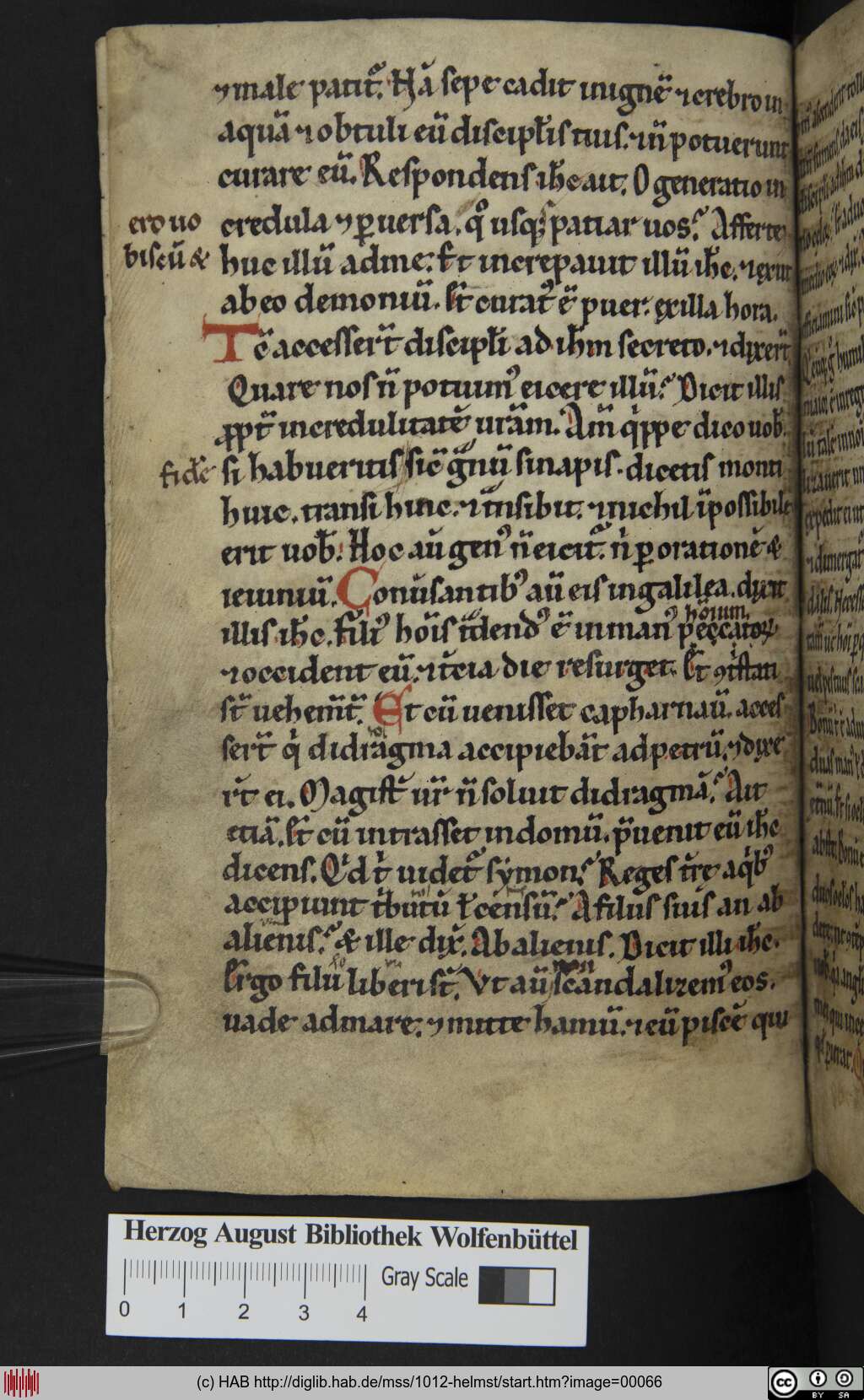 http://diglib.hab.de/mss/1012-helmst/00066.jpg