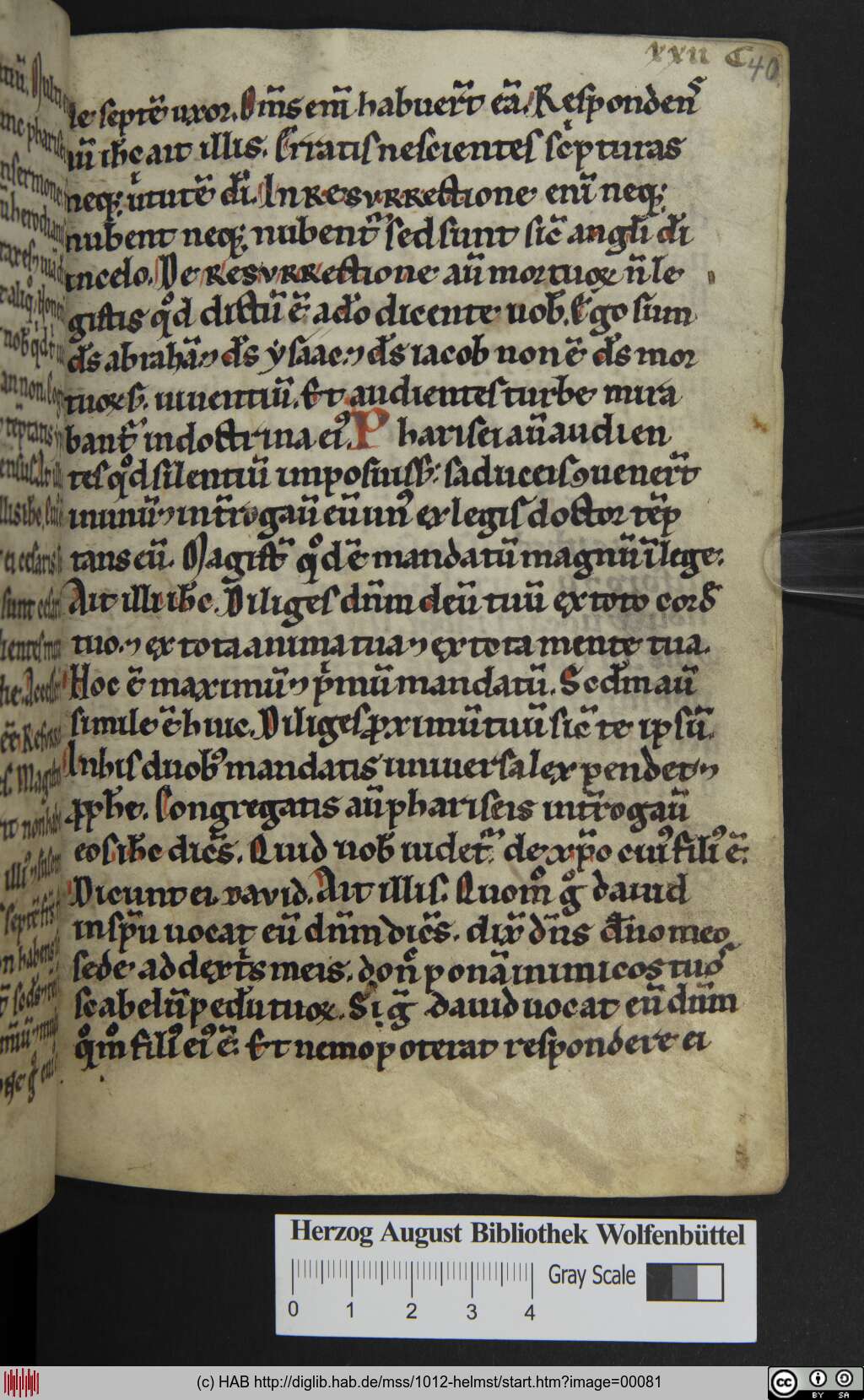 http://diglib.hab.de/mss/1012-helmst/00081.jpg