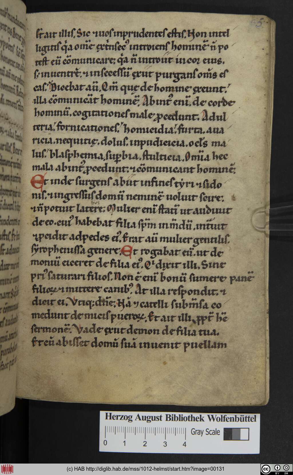 http://diglib.hab.de/mss/1012-helmst/00131.jpg