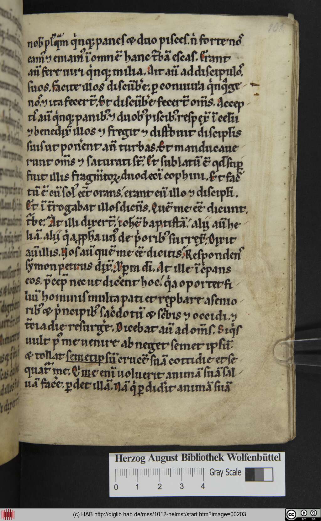 http://diglib.hab.de/mss/1012-helmst/00203.jpg