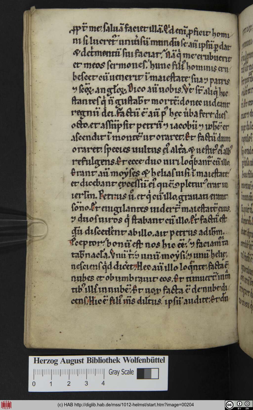 http://diglib.hab.de/mss/1012-helmst/00204.jpg