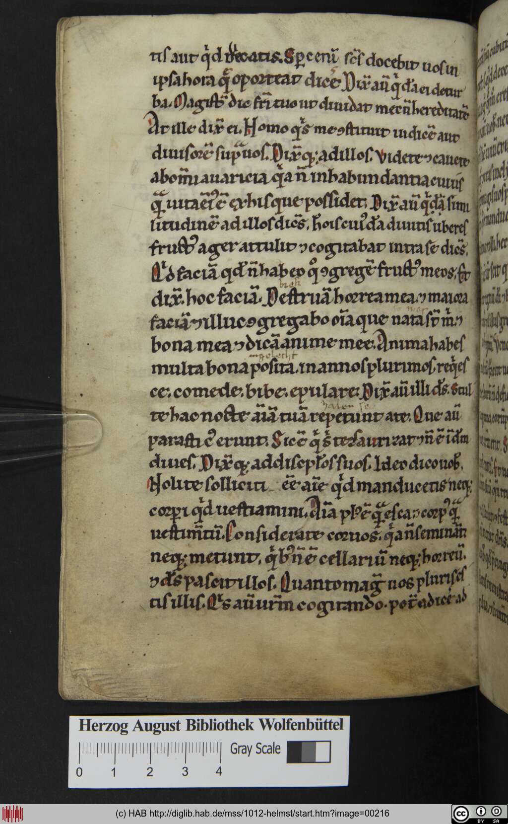 http://diglib.hab.de/mss/1012-helmst/00216.jpg