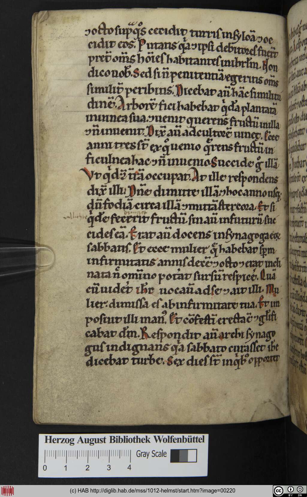 http://diglib.hab.de/mss/1012-helmst/00220.jpg