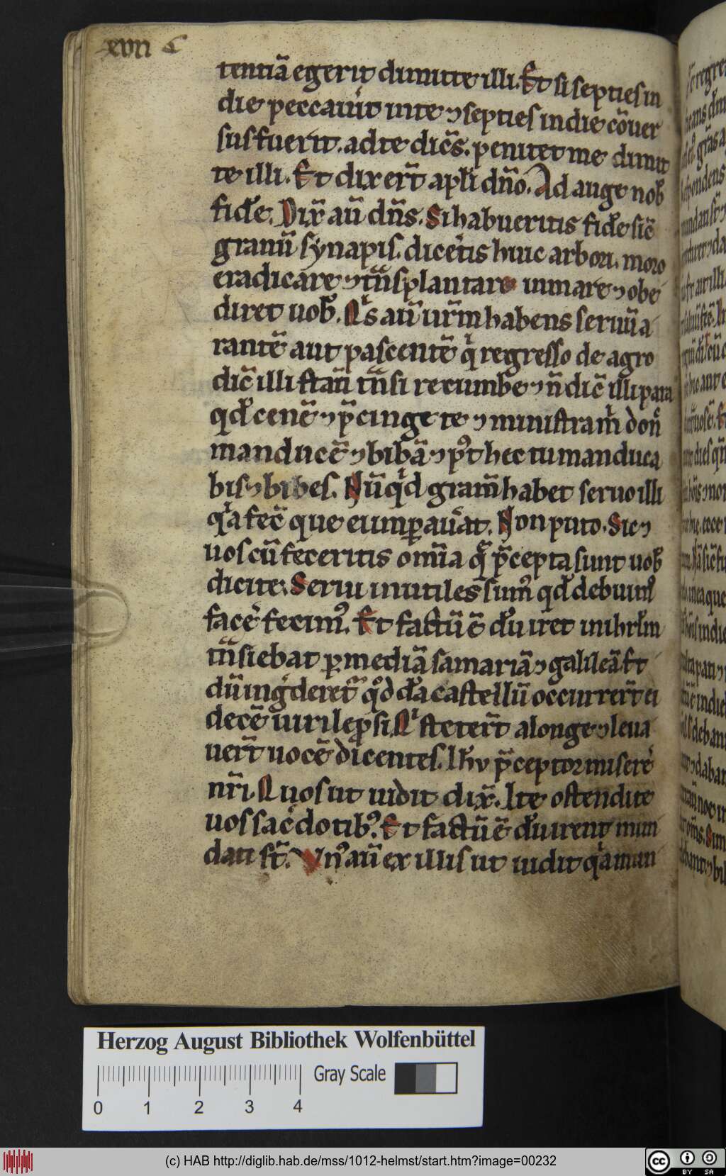 http://diglib.hab.de/mss/1012-helmst/00232.jpg