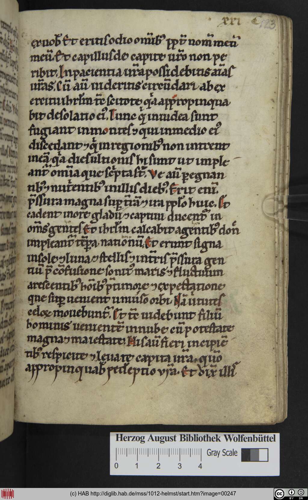 http://diglib.hab.de/mss/1012-helmst/00247.jpg