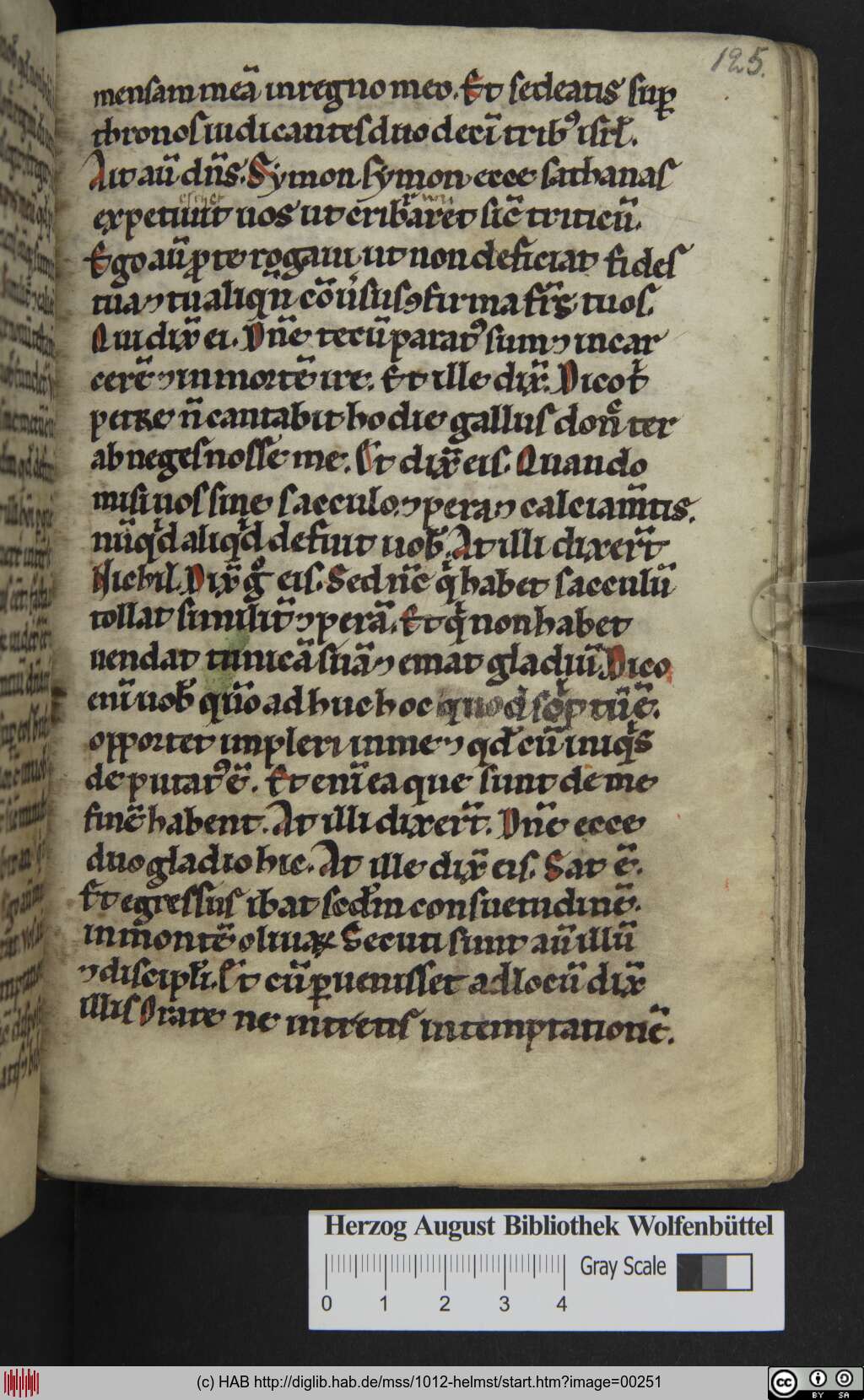 http://diglib.hab.de/mss/1012-helmst/00251.jpg