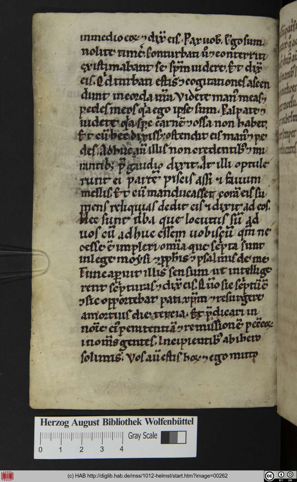 http://diglib.hab.de/mss/1012-helmst/00262.jpg