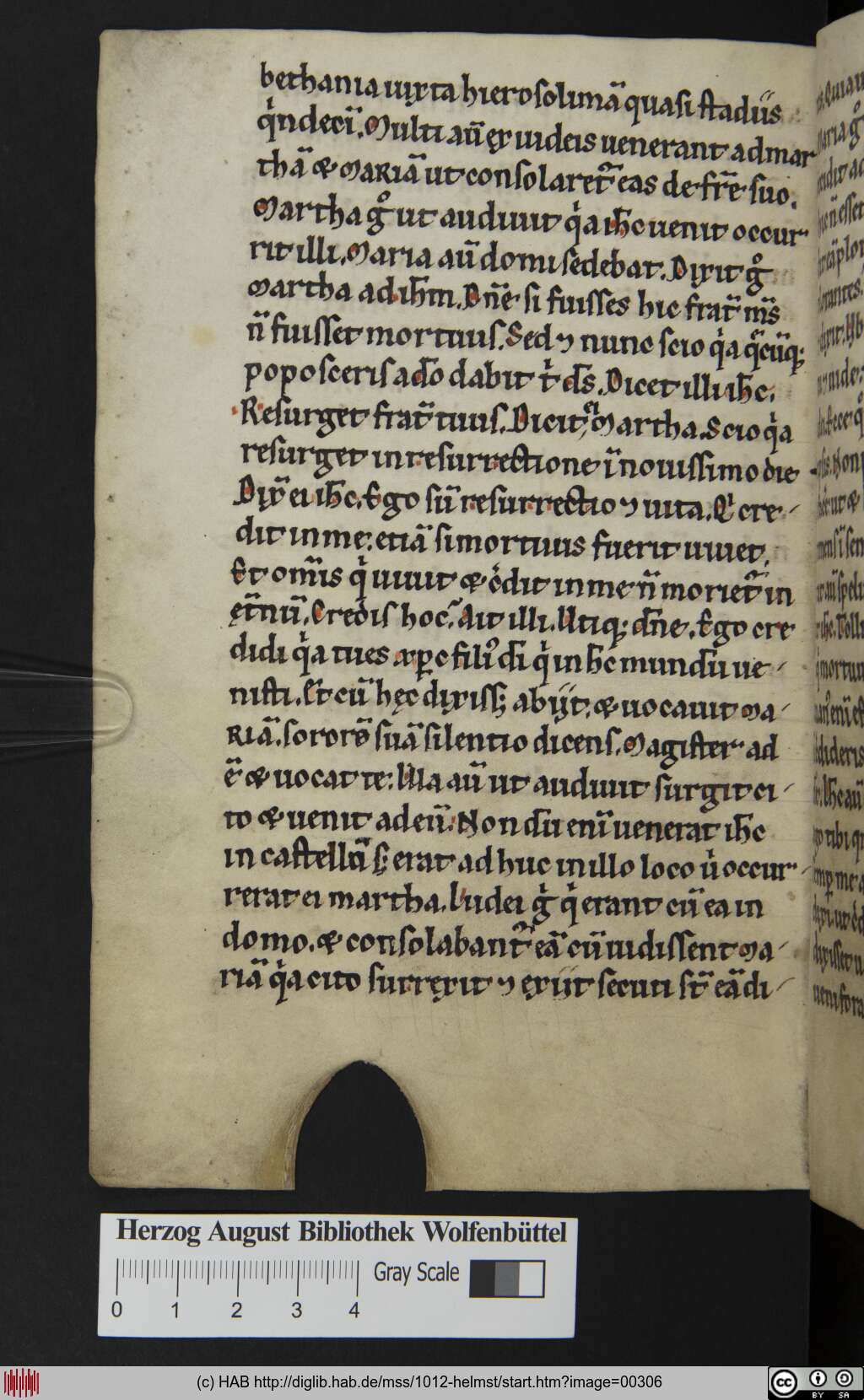 http://diglib.hab.de/mss/1012-helmst/00306.jpg