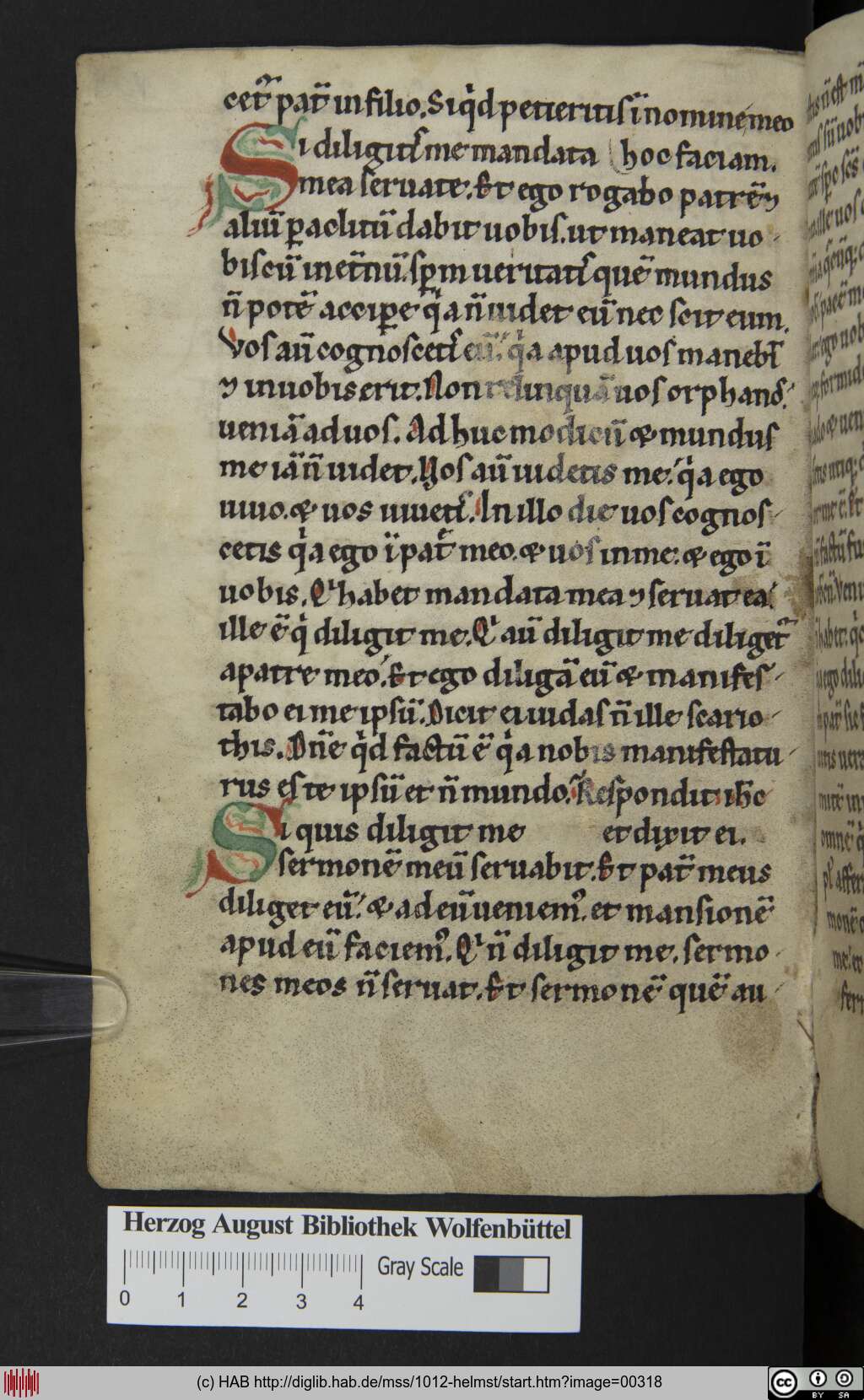 http://diglib.hab.de/mss/1012-helmst/00318.jpg