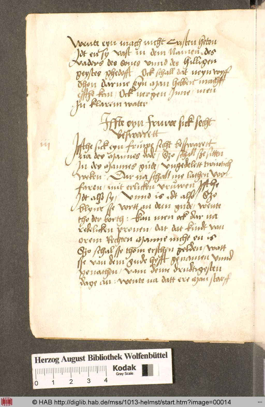 http://diglib.hab.de/mss/1013-helmst/00014.jpg