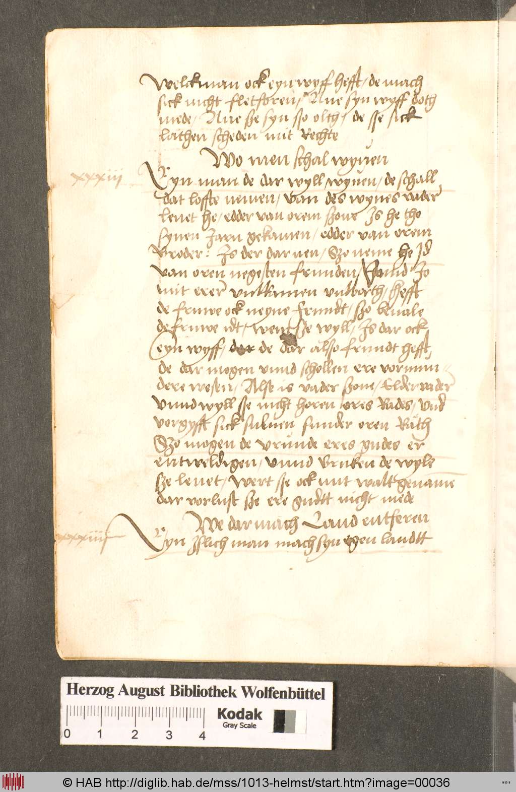 http://diglib.hab.de/mss/1013-helmst/00036.jpg
