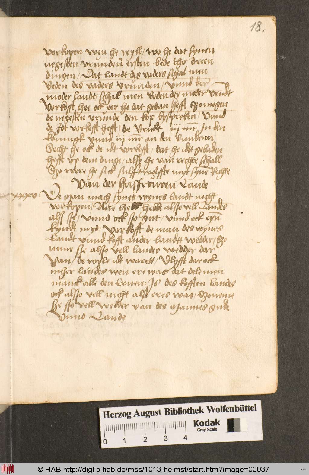 http://diglib.hab.de/mss/1013-helmst/00037.jpg