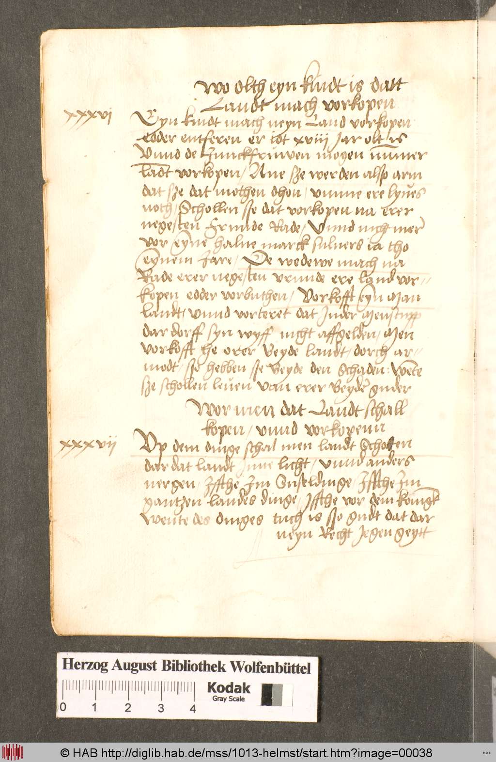 http://diglib.hab.de/mss/1013-helmst/00038.jpg