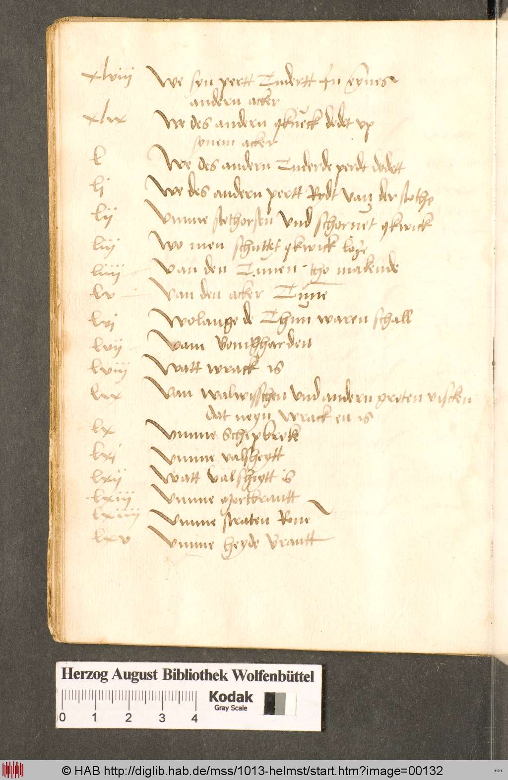 http://diglib.hab.de/mss/1013-helmst/00132.jpg