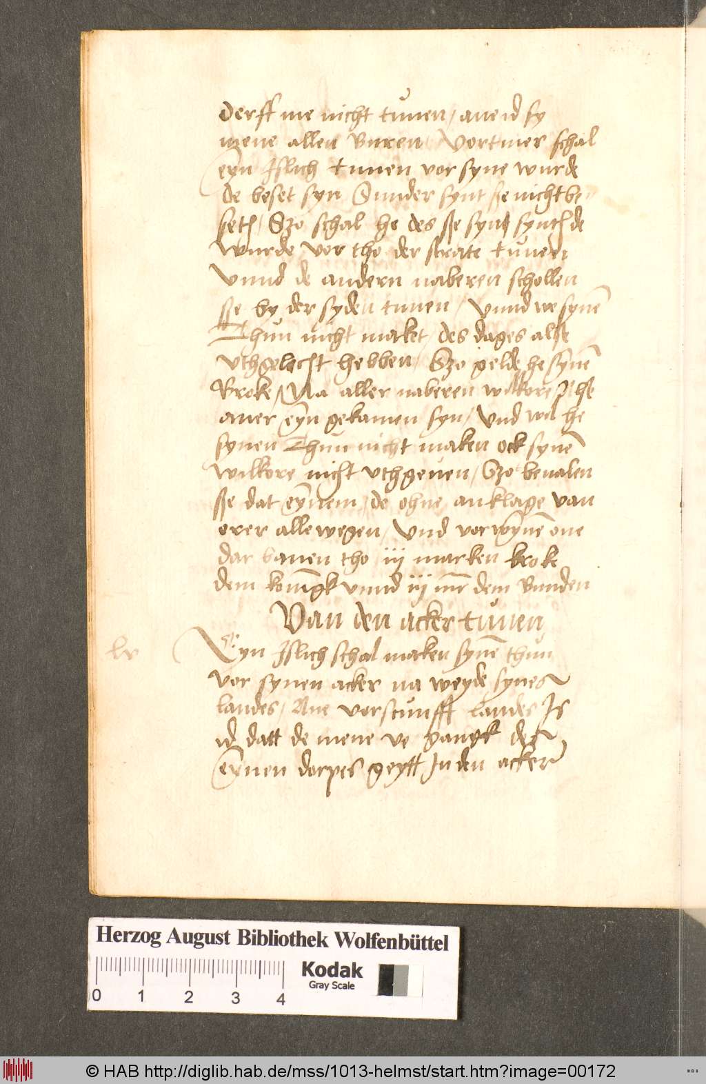 http://diglib.hab.de/mss/1013-helmst/00172.jpg
