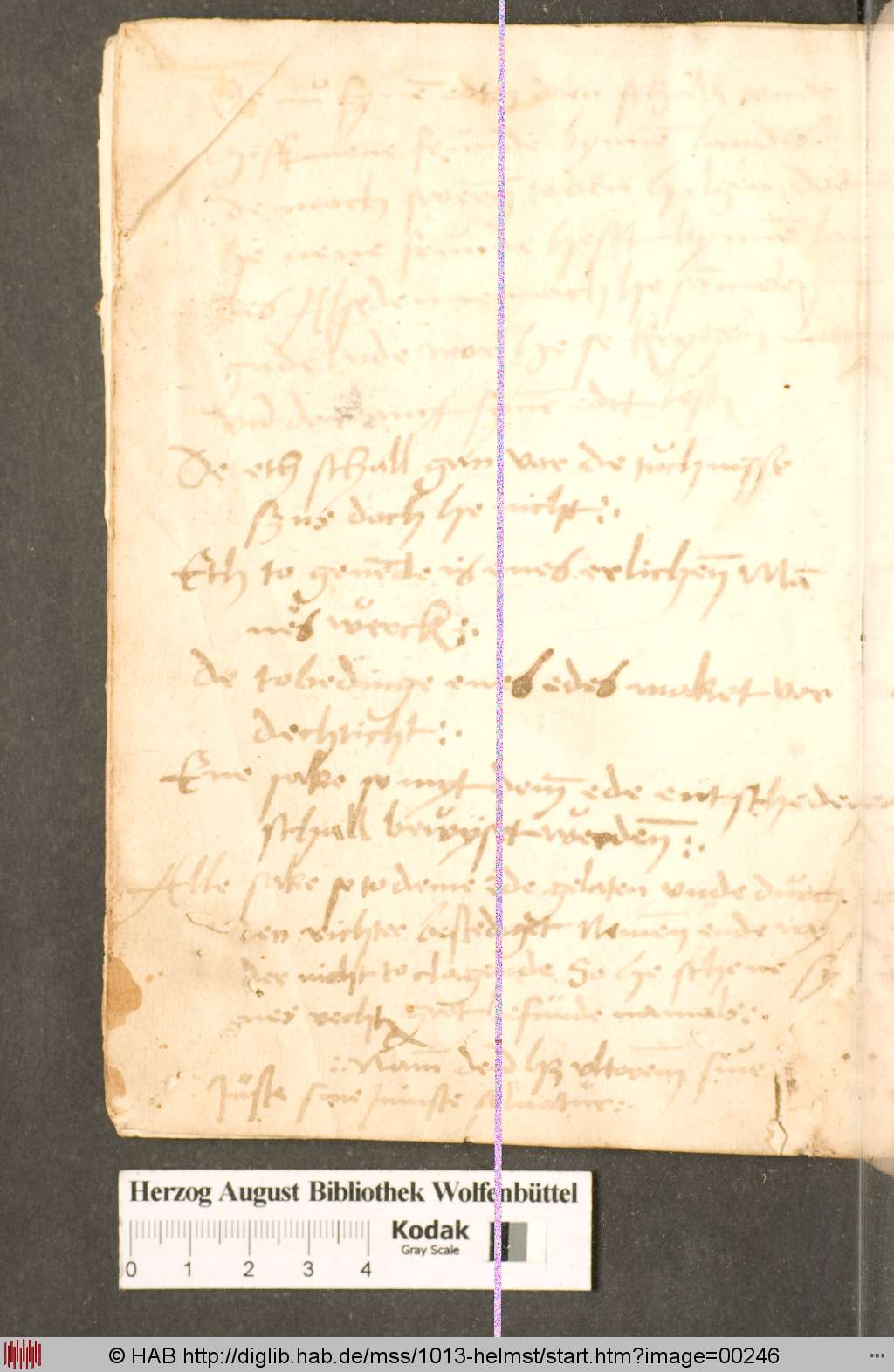 http://diglib.hab.de/mss/1013-helmst/00246.jpg