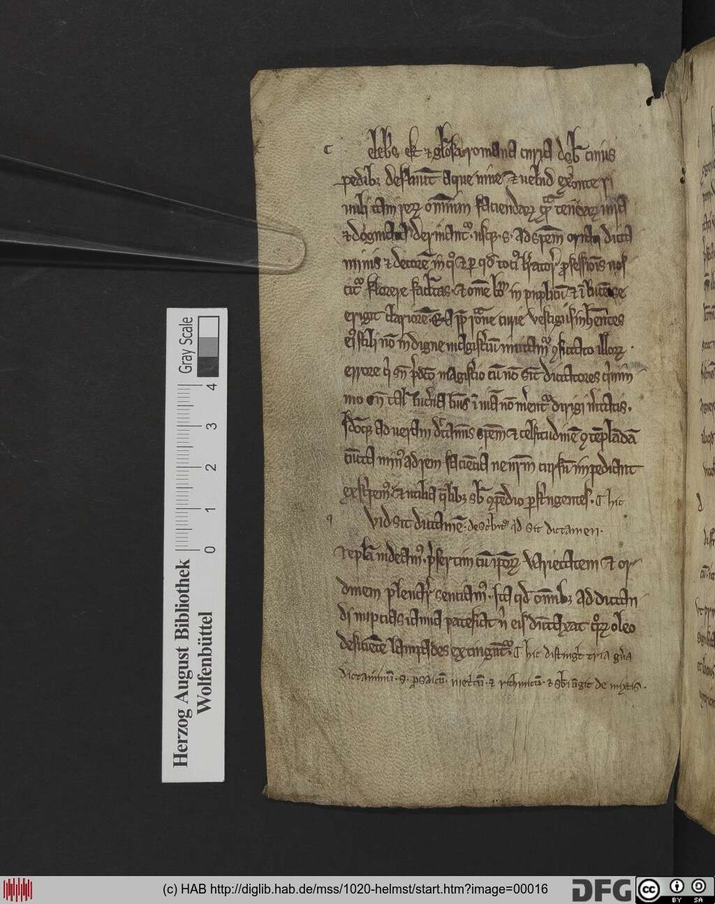 http://diglib.hab.de/mss/1020-helmst/00016.jpg