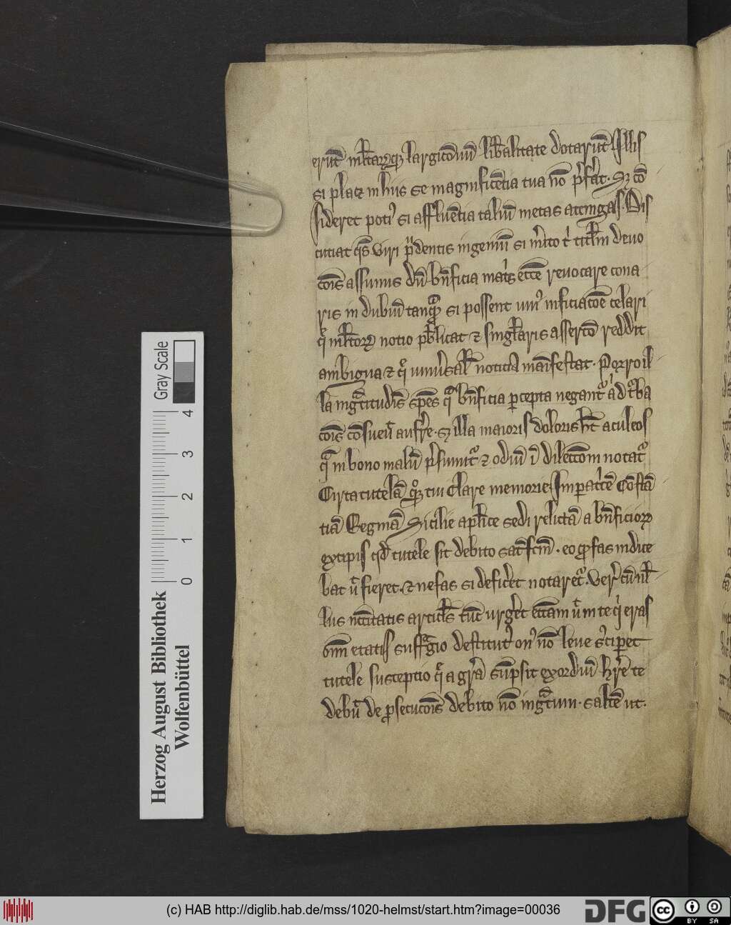 http://diglib.hab.de/mss/1020-helmst/00036.jpg
