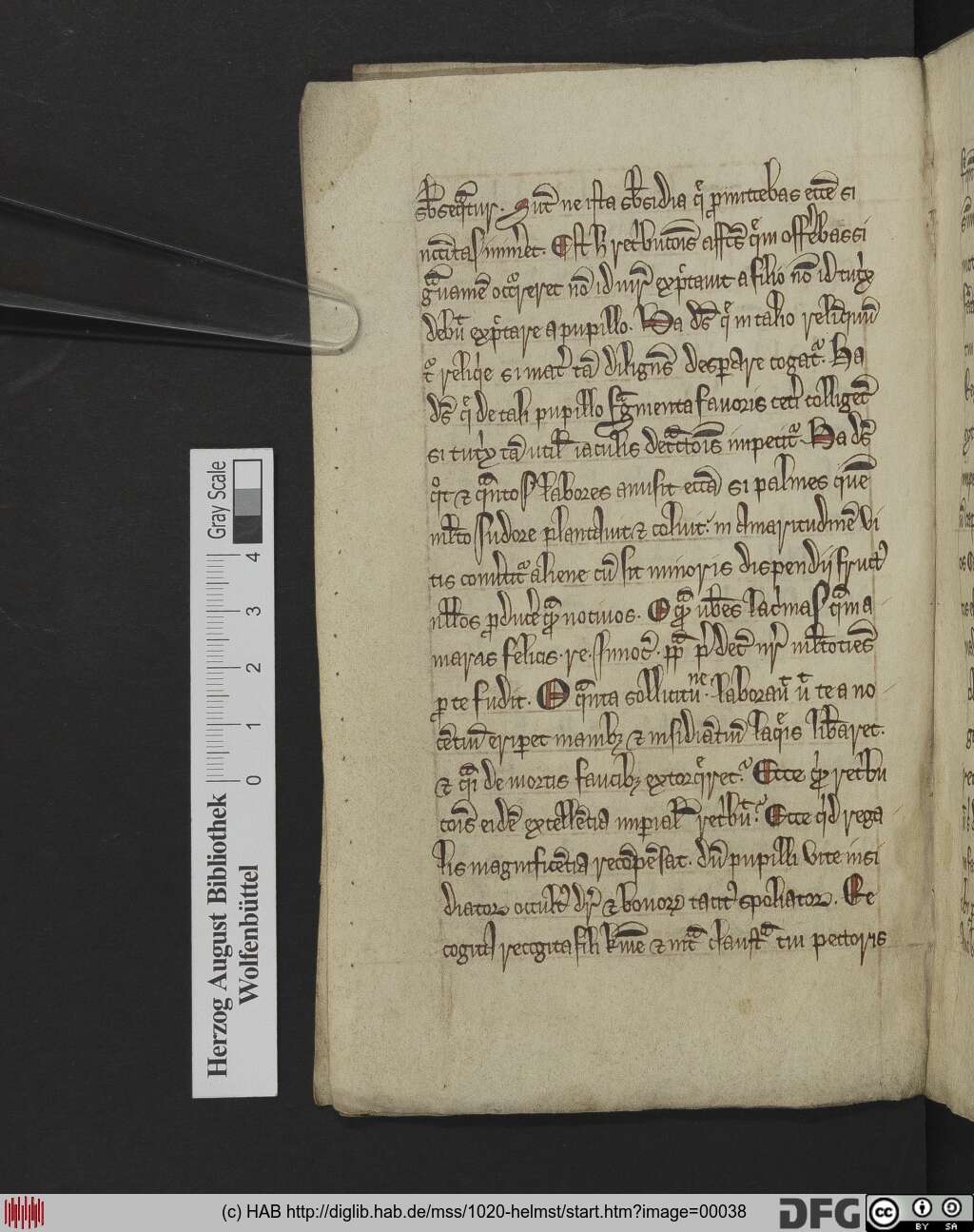 http://diglib.hab.de/mss/1020-helmst/00038.jpg