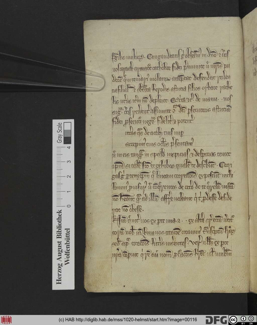 http://diglib.hab.de/mss/1020-helmst/00116.jpg