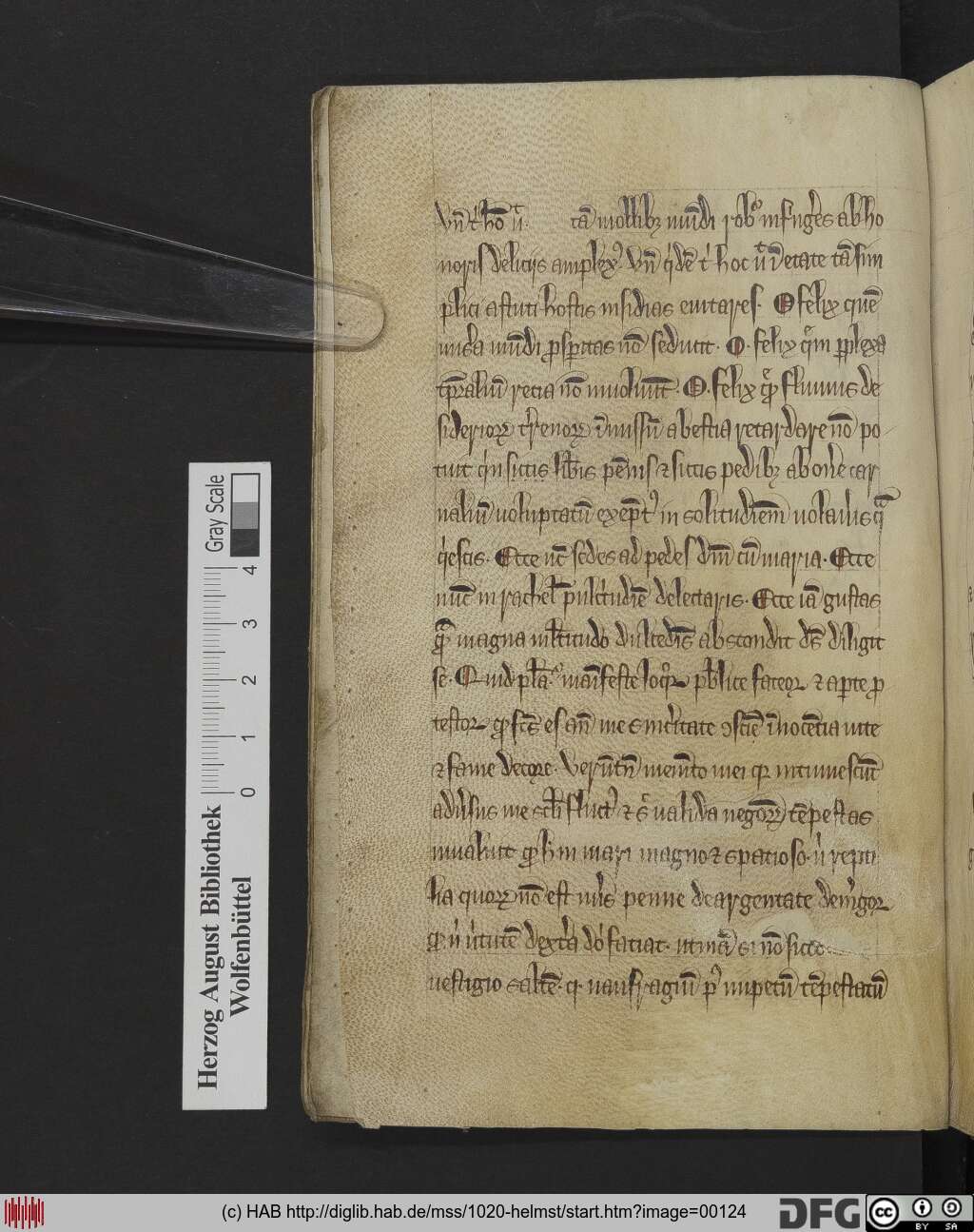 http://diglib.hab.de/mss/1020-helmst/00124.jpg