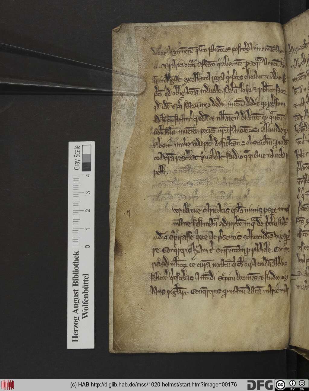 http://diglib.hab.de/mss/1020-helmst/00176.jpg