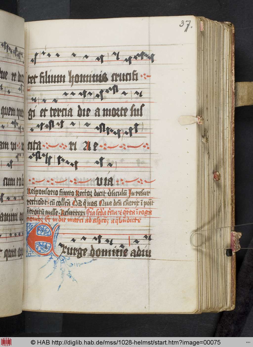 http://diglib.hab.de/mss/1028-helmst/00075.jpg
