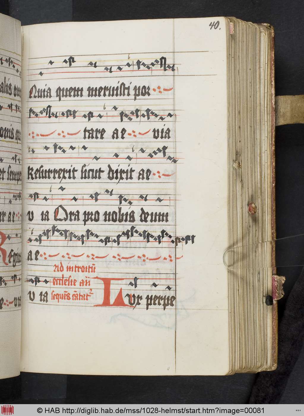 http://diglib.hab.de/mss/1028-helmst/00081.jpg