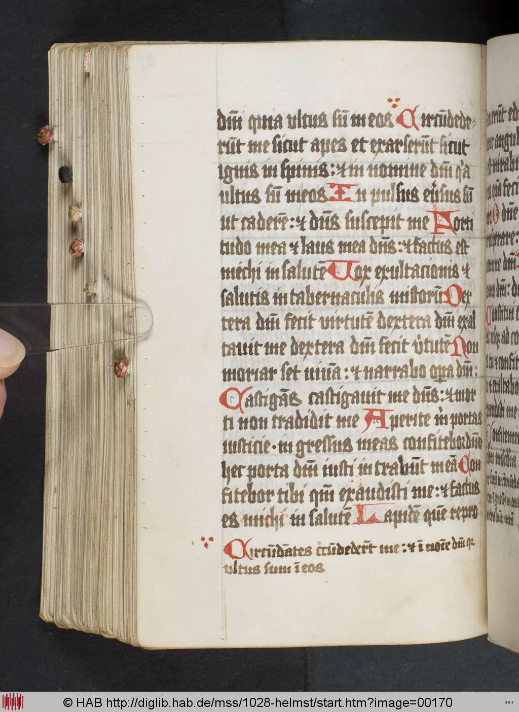 http://diglib.hab.de/mss/1028-helmst/00170.jpg