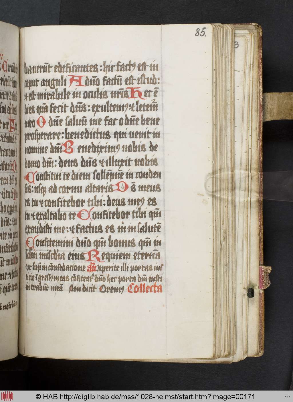 http://diglib.hab.de/mss/1028-helmst/00171.jpg
