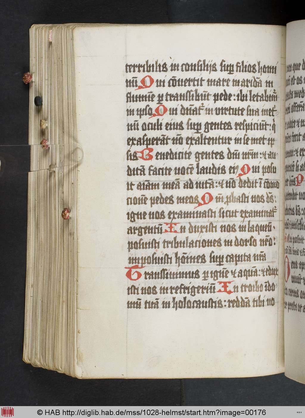 http://diglib.hab.de/mss/1028-helmst/00176.jpg