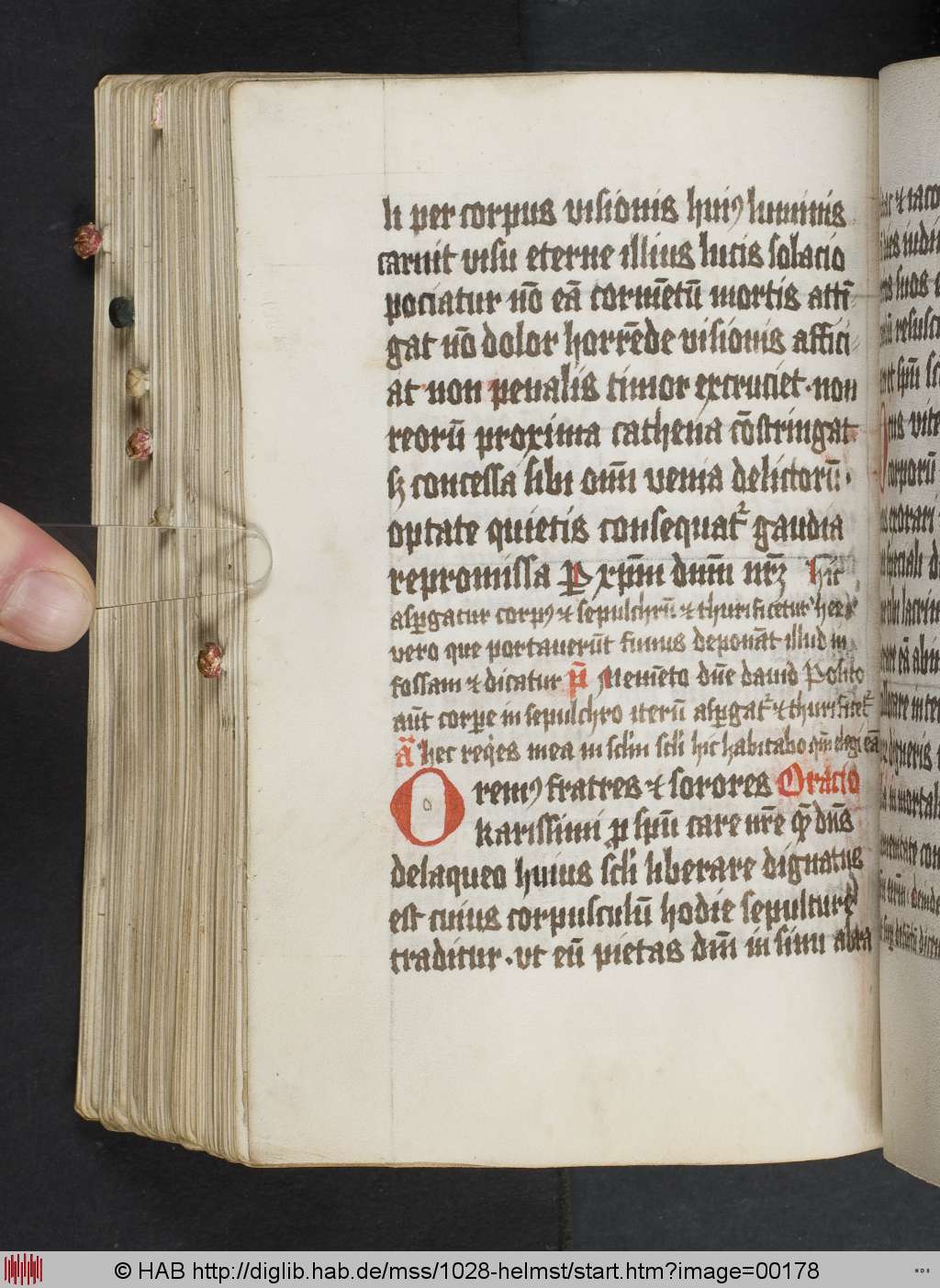 http://diglib.hab.de/mss/1028-helmst/00178.jpg