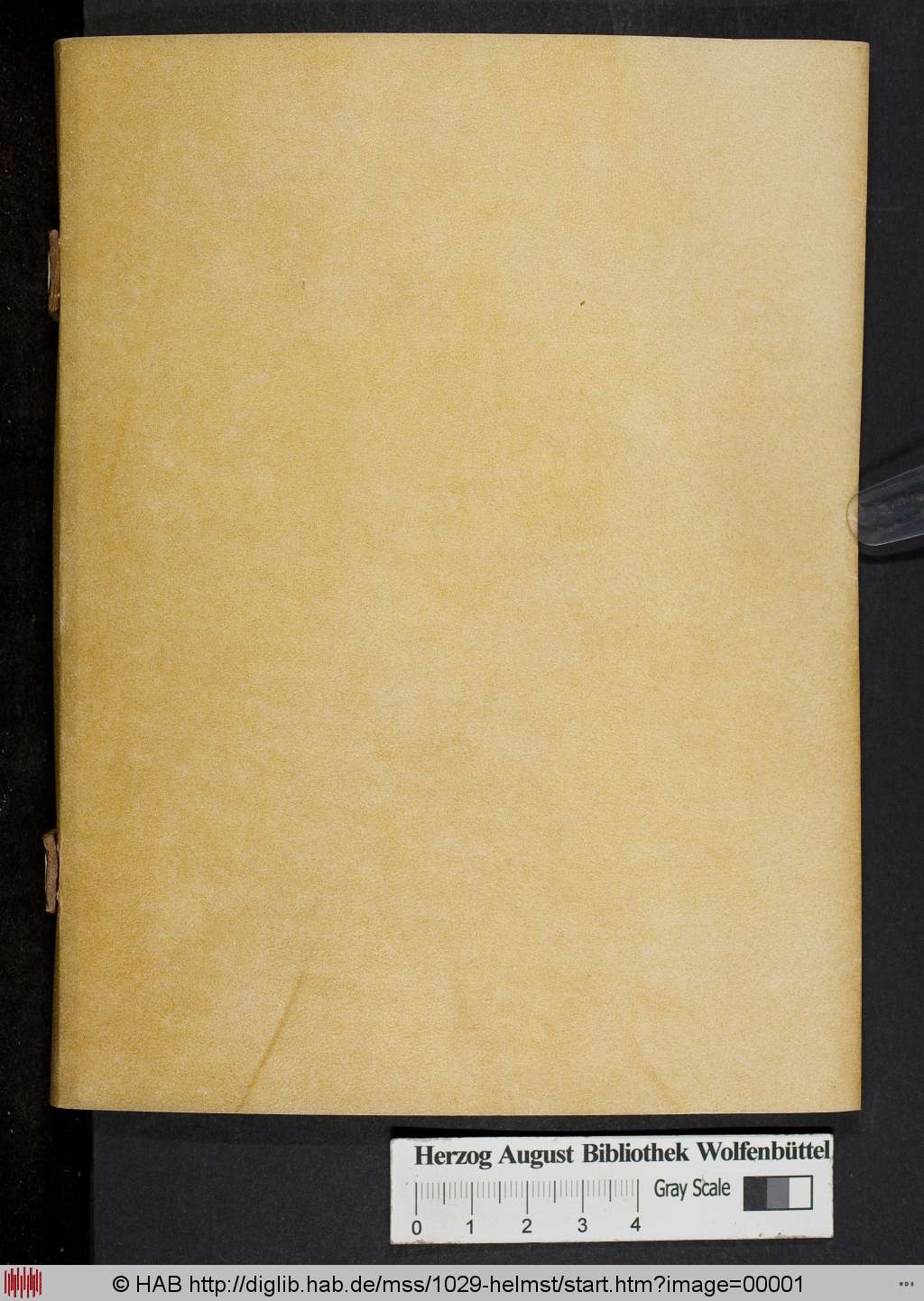http://diglib.hab.de/mss/1029-helmst/00001.jpg