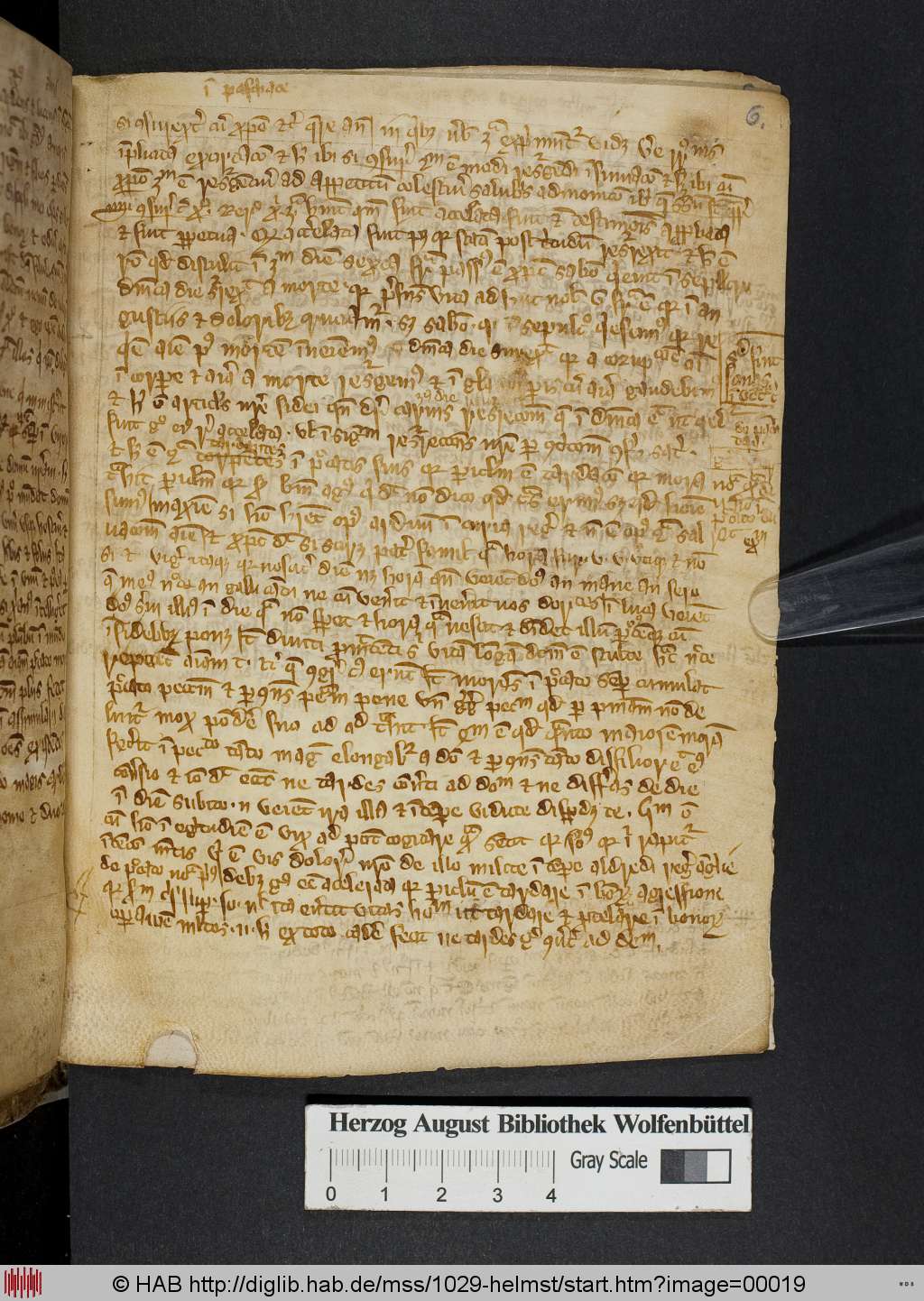 http://diglib.hab.de/mss/1029-helmst/00019.jpg